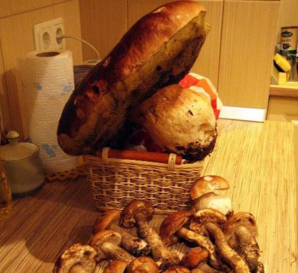 белые грибы как чистить