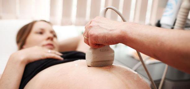узи диагностика беременности на ранних сроках
