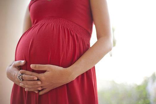 диагностика замершей беременности на ранних сроках