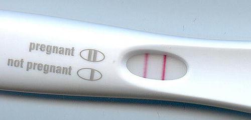 каким тестом лучше определить беременность 