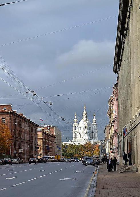 СПб Суворовский проспект