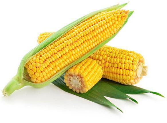 сколько калорий в кукурузе
