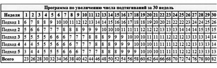 подтягивание на турнике программа тренировок 30 недель 