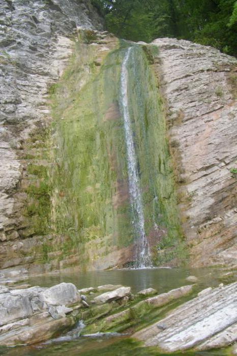 плесецкие водопады как добраться