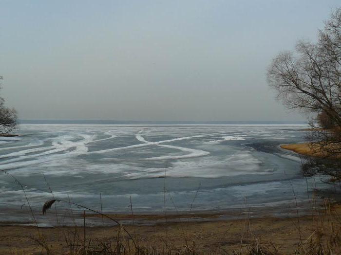 учинское водохранилище