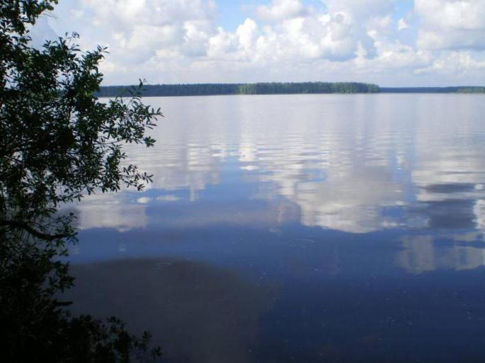 учинское водохранилище можно ли купаться