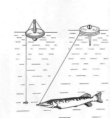 Рыбалка ловля щуки на кружки
