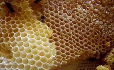 мед рапсовый свойства