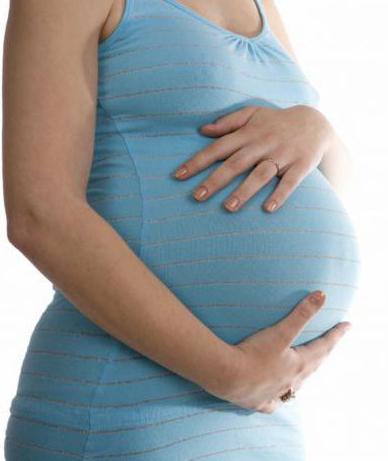 высота дна матки по неделям беременности