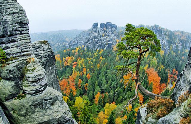 Саксонская швейцария отзывы