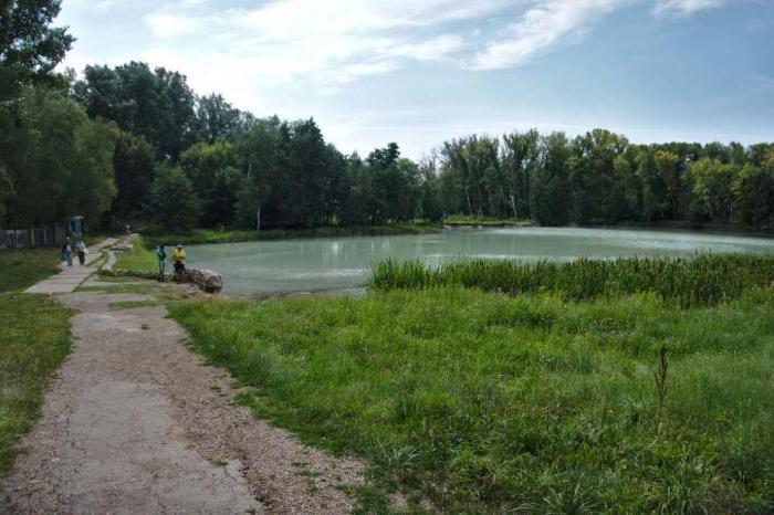 сергиевские минеральные воды самарской области