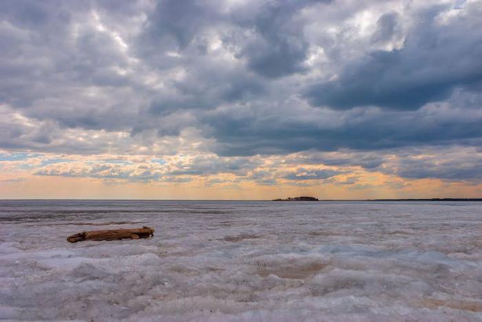 рыбалка на обском водохранилище 