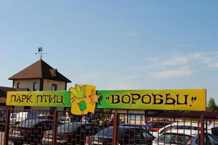 парк воробьи