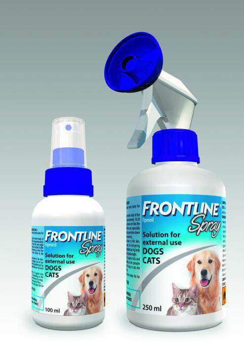 Frontline   -  7