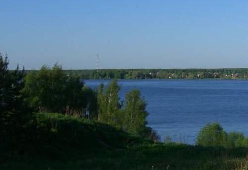 можайское водохранилище отдых с палаткой ильинский пляж 