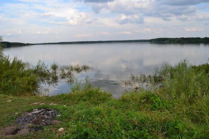 можайское водохранилище отдых с палатками отзывы 