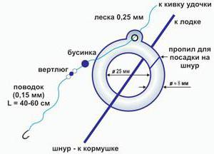 Ловля леща на кольцо оснастка