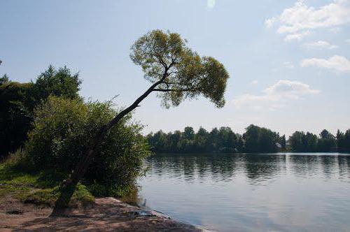 суздальские озера санкт петербург 