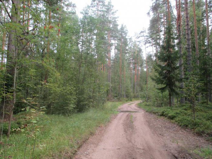 приозерск прогулка по городу архитектура