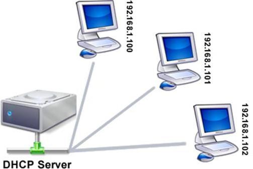 как включить dhcp