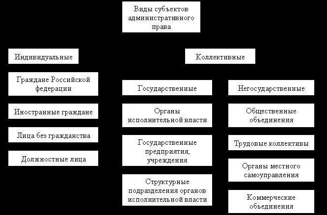 принципами административного права являются