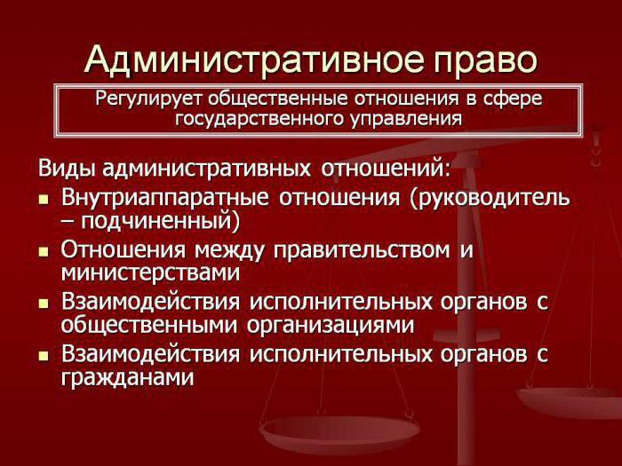 административное право понятие принципы функции