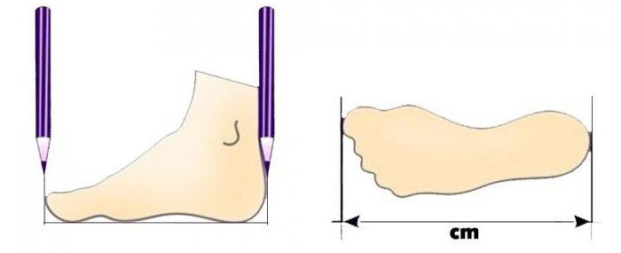 Таблица размеров ноги в сантиметрах