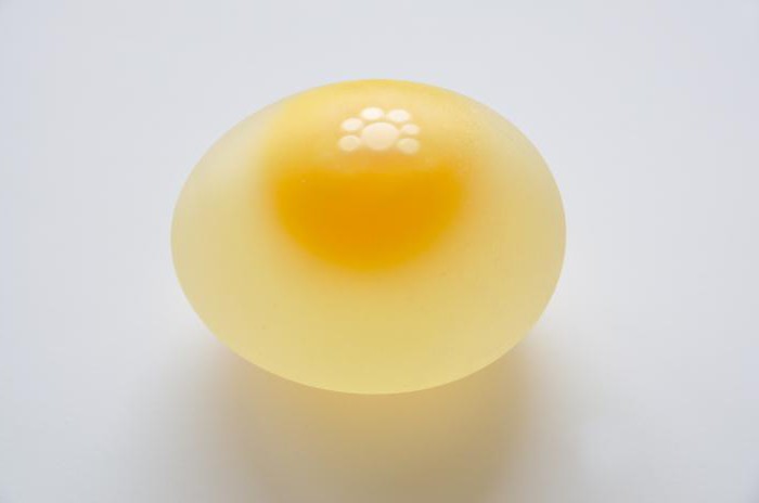 Сколько грамм белка в яйце вареном