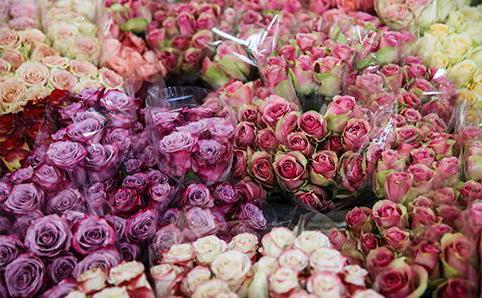 рижский рынок цветов адрес