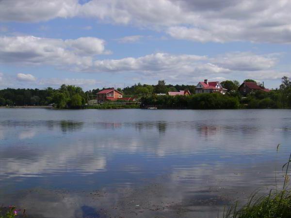 Красное Село озеро Безымянное