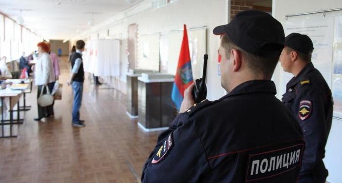 структура исполнительной власти