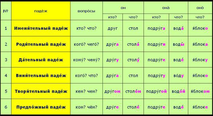 склонение существительных по падежам 