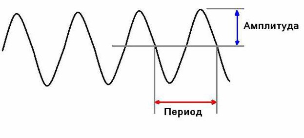 частота колебаний человека