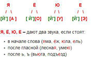 звуковой анализ слова язык