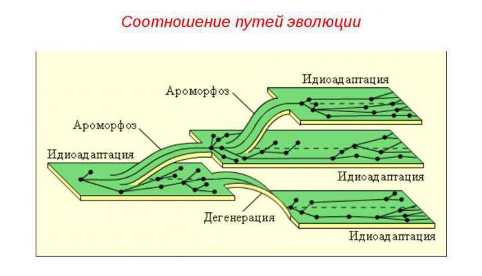 биологический регресс