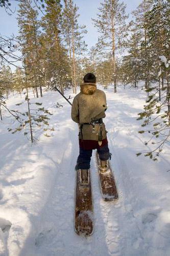 какие охотничьи лыжи выбрать