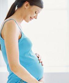 сколько таблеток фолиевой кислоты пить при беременности