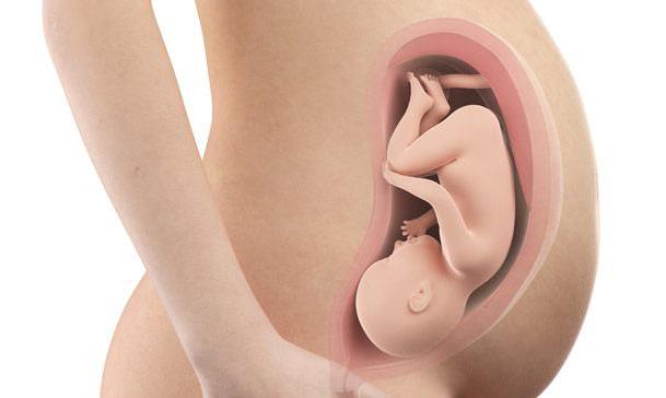 Как понять что живот опускается при беременности