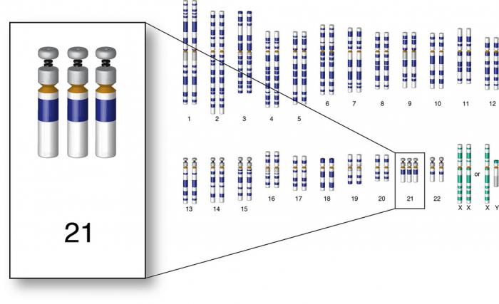 Трисомия 21 базовый индивидуальный