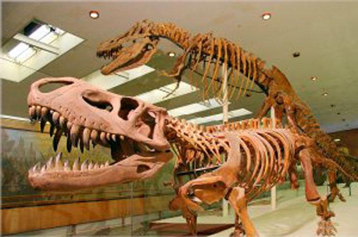 палеонтологический музей в москве 