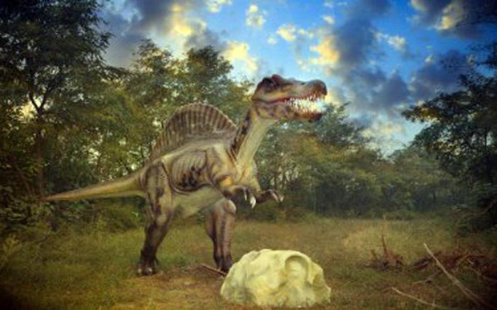 скелет динозавра для детей 