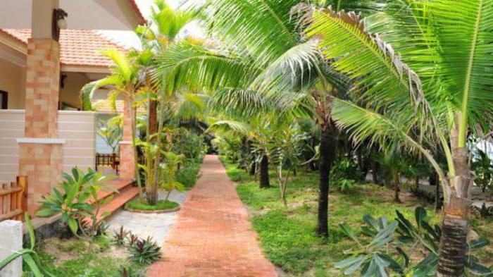 saigon suoi nhum resort 4 вьетнам фантхьет