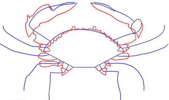 как нарисовать краба карандашом поэтапно