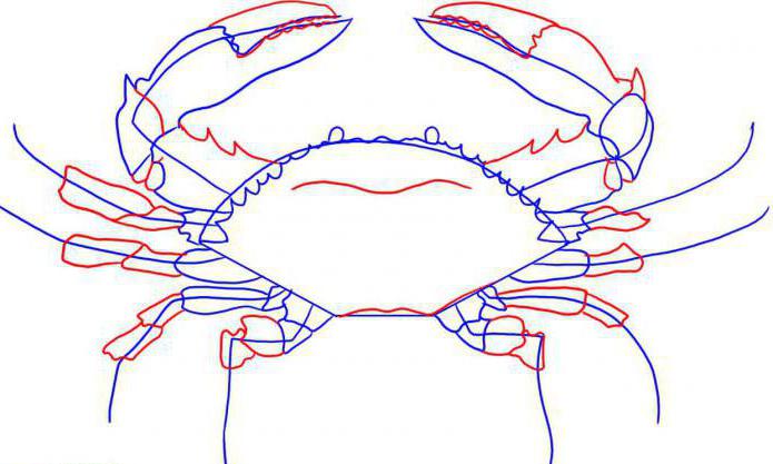 как нарисовать краба карандашом поэтапно