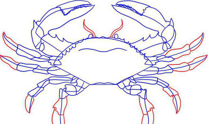 как нарисовать краба карандашом поэтапно