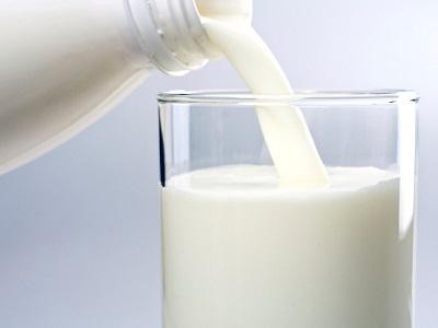 Сколько белка в молоке