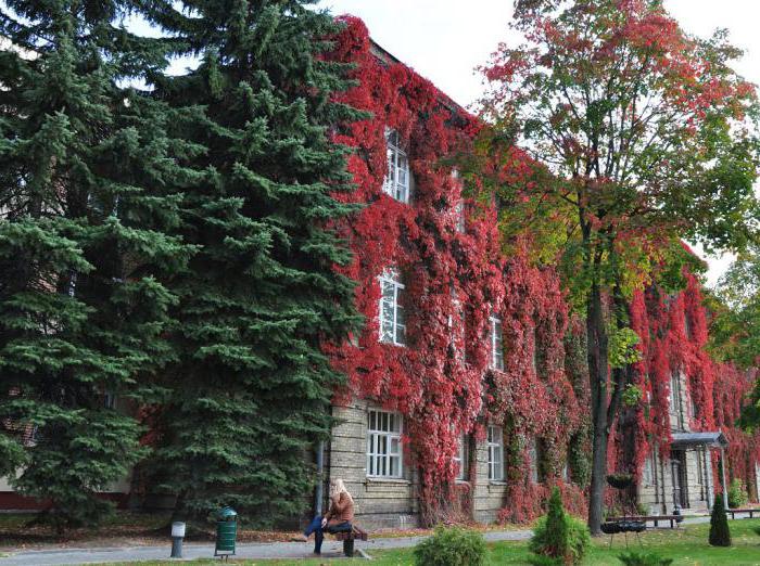 Гродненский государственный университет им янки купалы юридический