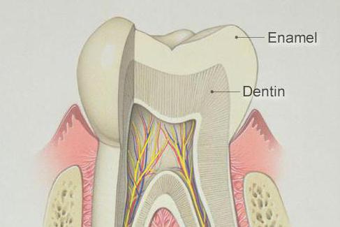 вещество укрепляющее эмаль зубов