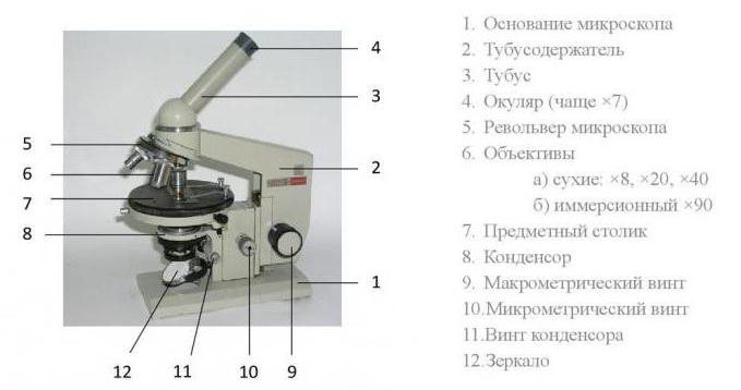 школьный микроскоп 
