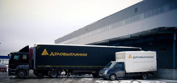 деловые линии отзыв